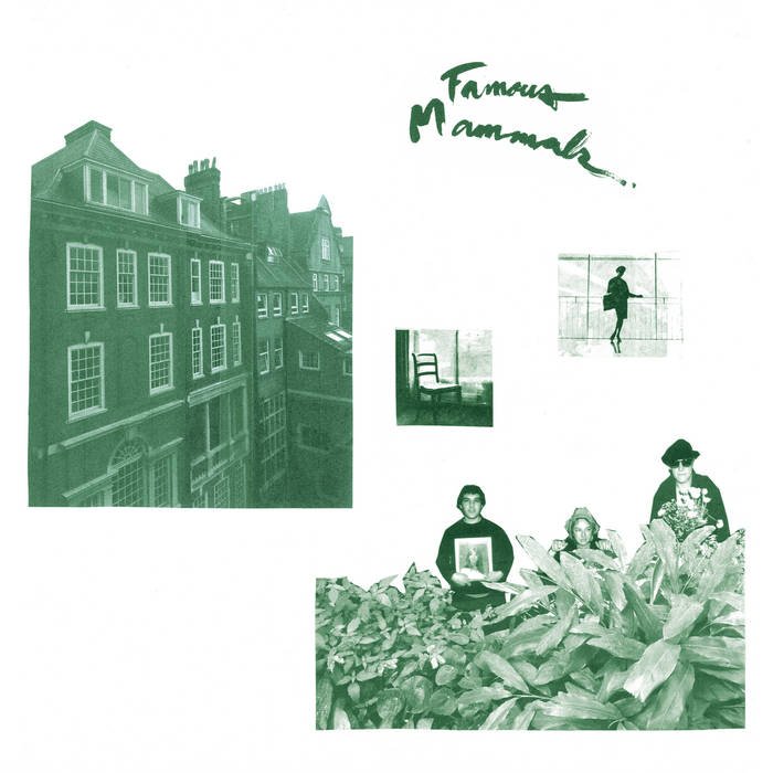 FAMOUS MAMMALS- S/T LP (PREORDER) - TOTAL PUNKLPInscrutable RecordsTOTAL PUNK