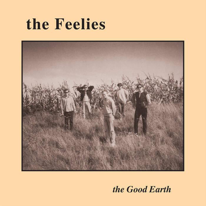 FEELIES, THE- Good Earth LP