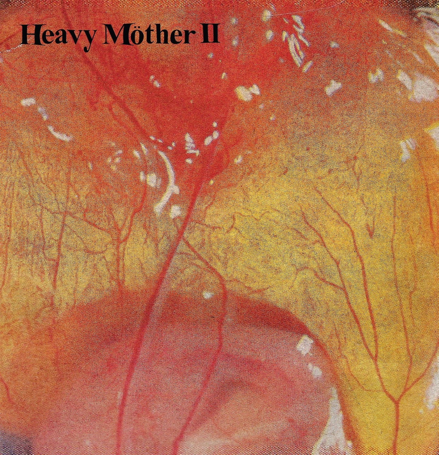 A close up image of an egg embryo with HEAVY MOTHER II written in a slightly wavy font in the upper left corner.