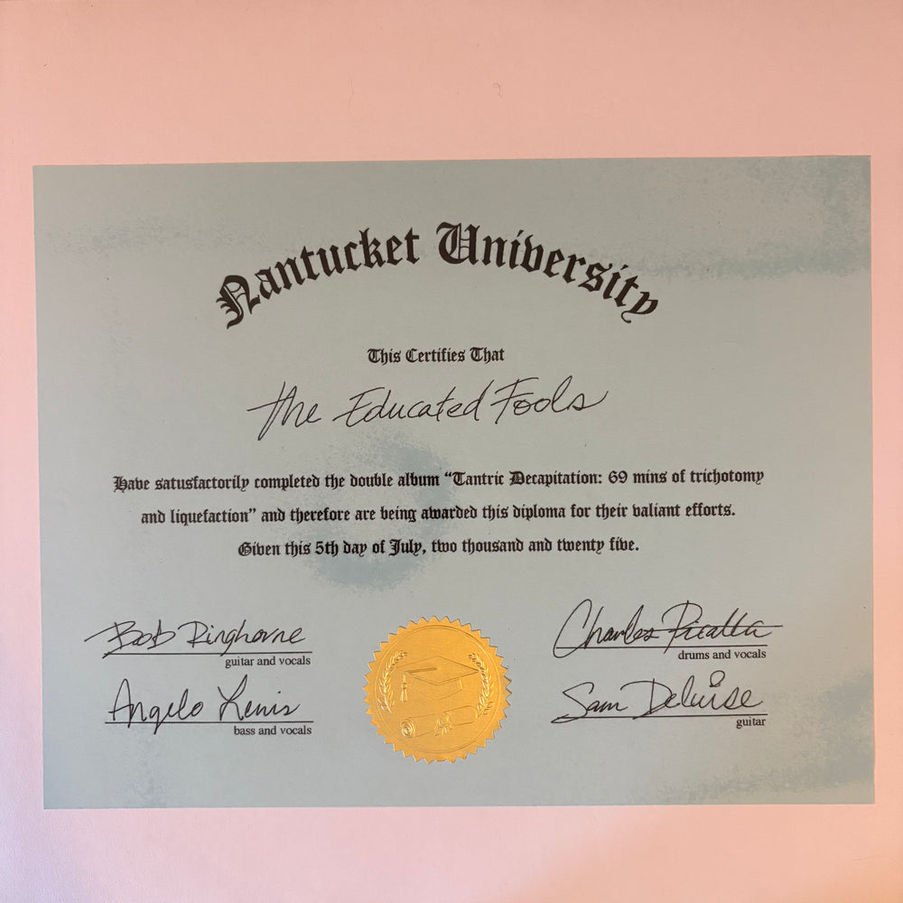 *   RETAIL SIMPS- Tantric Decapitation 2xLP (test press)