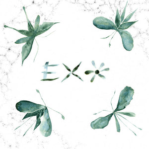 EXO- S/T LP
