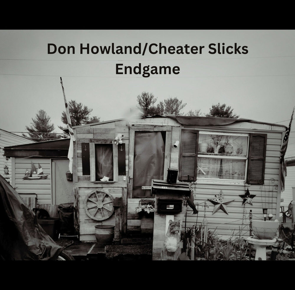 CHEATER SLICKS/ DON HOWLAND 7"