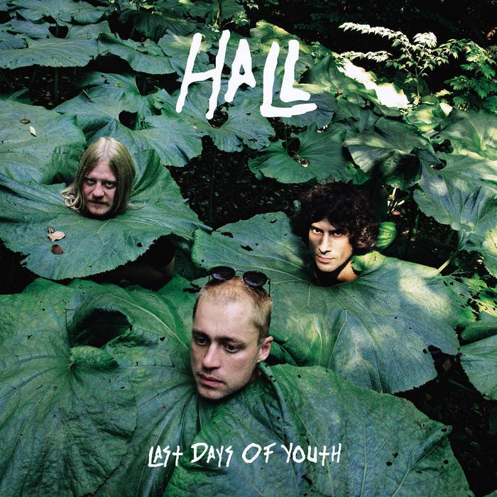 HALL - Last Days of Youth LP - TOTAL PUNKLPAlien SnatchTOTAL PUNK