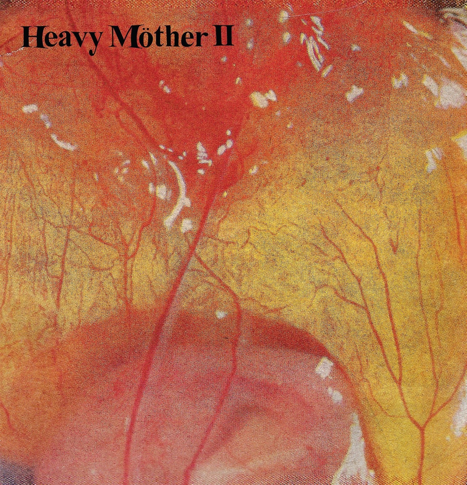 A close up image of an egg embryo with HEAVY MOTHER II written in a slightly wavy font in the upper left corner.