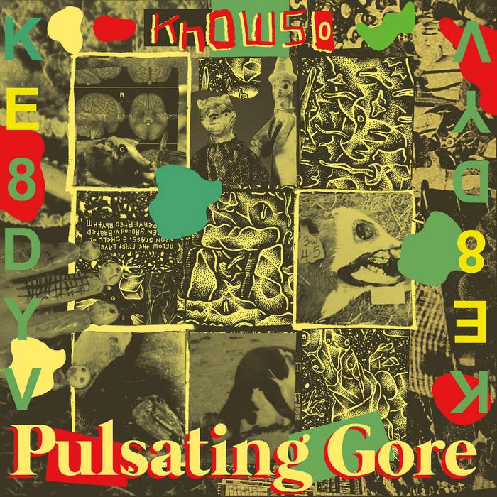 KNOWSO- Pulsating Gore LP