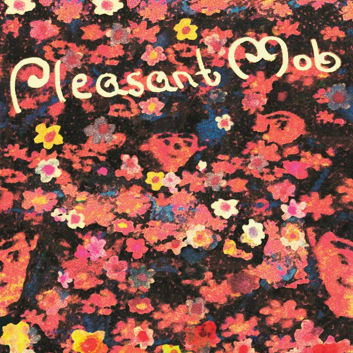 PLEASANT MOB- S/T LP (Preorder) - TOTAL PUNKLPInscrutable RecordsTOTAL PUNK