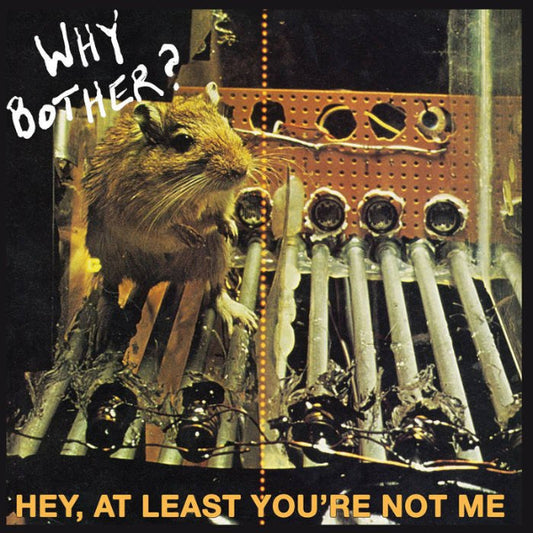 WHY BOTHER? - Hey At Least You're Not Me LP - TOTAL PUNKLPFeel ItTOTAL PUNK