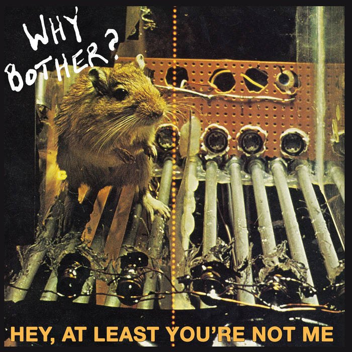 WHY BOTHER? - Hey At Least You're Not Me LP - TOTAL PUNKLPFeel ItTOTAL PUNK