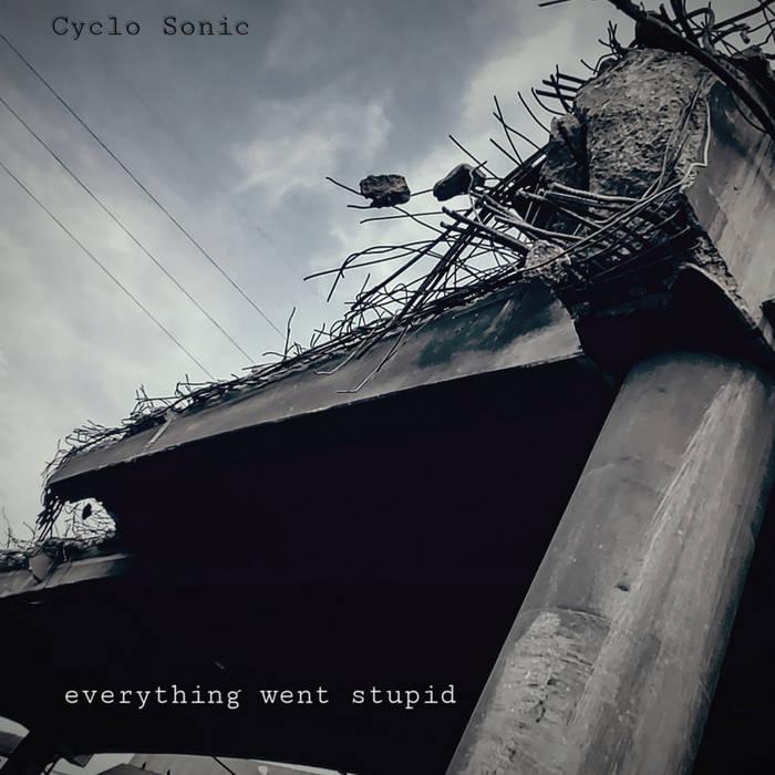 CYCLO-SONIC- Everything Went Stupid LP - TOTAL PUNKLPBig NeckTOTAL PUNK