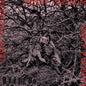 DYATLOV- Insect Paranoia 7" - TOTAL PUNK7"SpazzTOTAL PUNK