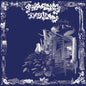 * GLITTERING INSECTS- S/T LP - TOTAL PUNKLPMind MeldTOTAL PUNK