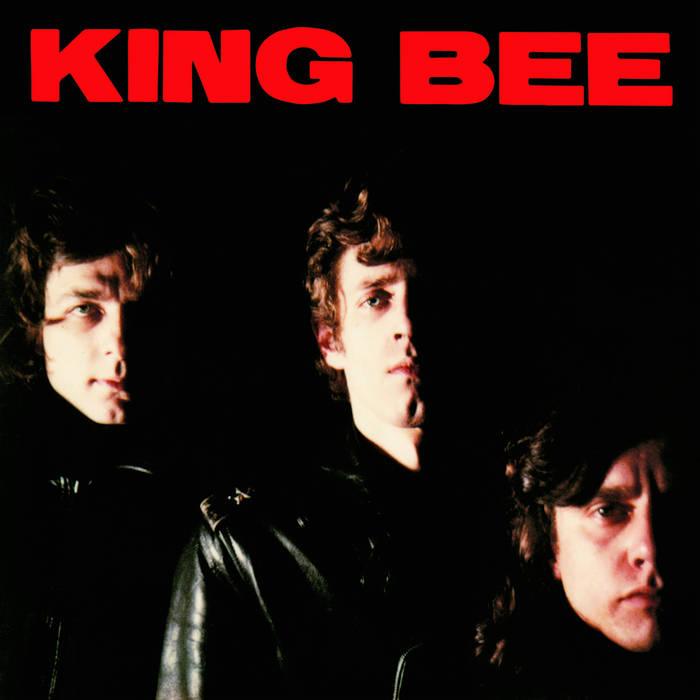 KING BEE- S/T LP - TOTAL PUNKLPKing BeeTOTAL PUNK