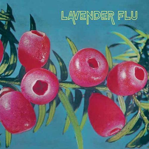 LAVENDER FLU- Mow The Glass LP