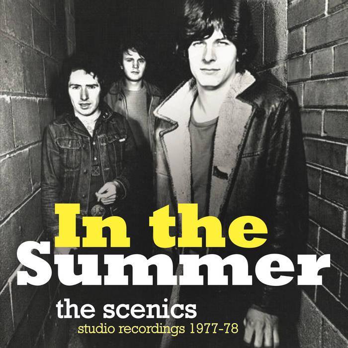 SCENICS, THE- In The Summer LP