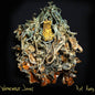 WEREWOLF JONES- Rot Away LP - TOTAL PUNKLPBig NeckTOTAL PUNK